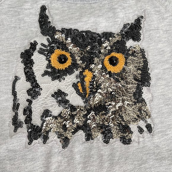 Express Cropped Sweater with Sequin and Lace Owl, Heather Gray/Cream, Size XS - Picture 2 of 14